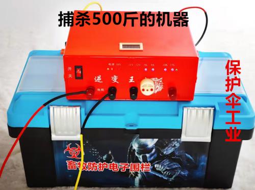 捕猎500斤野猪的捕猎机器